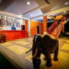 Отель Elephas Resort & Spa, фото 37