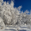 Гостиница Глэмпинг Усадьба Ягодное, фото 46