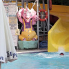 Отель Grand Viking All Inclusive, фото 20