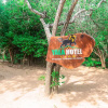 Отель Camping Yala Hotel Ravana luxury Safari Camp Tents, фото 28