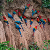 Отель Refugio Amazonas, фото 43