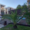 Апартаменты Green Palace Sochi 8, фото 10