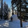 Гостиница Глэмпинг Алтай Forest Glamp, фото 38