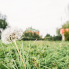 Отель Green Roof, фото 50