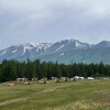 Гостиница Saykol Kuray Glamping, фото 2