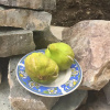 Гостевой Дом My Garden, фото 24