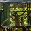 Хостел RioAgujitasEcoFarmandTours, фото 5