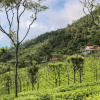 Отель Вилла Farview Mountain Resort, фото 7