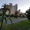 Апартаменты City Centre Vip11, фото 8