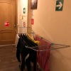Хостел Home Again, фото 5