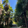 Гостиница Пансионат с лечением Сокол, фото 21