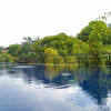 Отель Oak Ray Ella Gap Hotel, фото 8