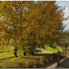 Отель Вилла Villino Cortona, фото 11