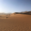 Отель Кемпинг Aroma Desert Safari, фото 1