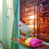 Гостевой Дом Win's Danang Homestay, фото 5