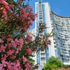 Апартаменты ЖК Москва seaview nice bed, фото 8