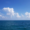 Отель Royal Caribbean Resort, фото 20