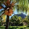Отель Hotel LUX Le Morne Hotel, фото 14
