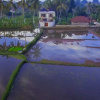 Отель Вилла Warna Ubud, фото 33