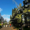 Апартаменты на Сочинском Арбате, фото 28