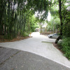 Отель Бамбуковая роща, фото 22
