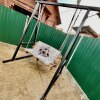 Гостевой дом Леон, фото 16