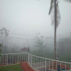 Курортный отель Jungle Valley Resort Wayanad, фото 5