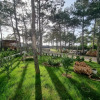 Гостиница Peschanyij Bereg Mini-hotel, фото 21