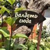 Гостевой дом Гортензия, фото 11
