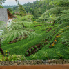 Курортный отель Resort Umah  Lusa, фото 39