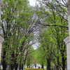 Гостиница Квартира Аврора Сталинка в Центре, фото 14