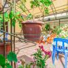 Гостиница Margarita Guest House, фото 9