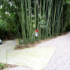 Отель Бамбуковая роща, фото 25