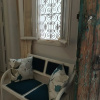 Отель Частный дом Maison de l'ancienne Medina Azur Hammamet, фото 17