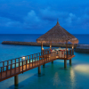 Отель Ellaidhoo Maldives by Cinnamon, фото 3