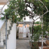 Гостевой Дом Best House, Secret Garden Home, Lagonisi, Attiki, фото 25