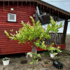 Гостиница Глэмпинг Хижина, фото 13