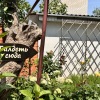 Гостевой дом Гортензия, фото 10