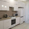 Гостиница Квартира на Улице Разведчика Ахмерова 5 332, фото 4