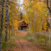 Отель Valday Hunting & Country Club, фото 29