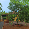 Курортный Отель Heina Nature Resort & Yala Safari, фото 21