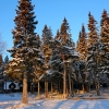 Гостиница Cedar Grass Белое Море, фото 19