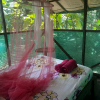 Хостел RioAgujitasEcoFarmandTours, фото 21