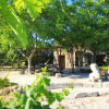 Гостевой дом Villa Diana, фото 6