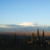 Мини-Отель Horizons Bakurtsikhe, фото 20