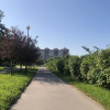 Гостиница Квартира Студия у Яблоневого Сада, фото 29