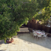 Гостевой Дом Villa Klara Eilat, фото 6