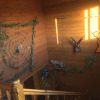 Мини-Отель Колизей, фото 4