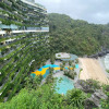 Курортный отель Flamingo Premium Cat Ba Beach Resort, фото 8