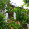 Гостевой Дом French Garden Tourist Rest, фото 8